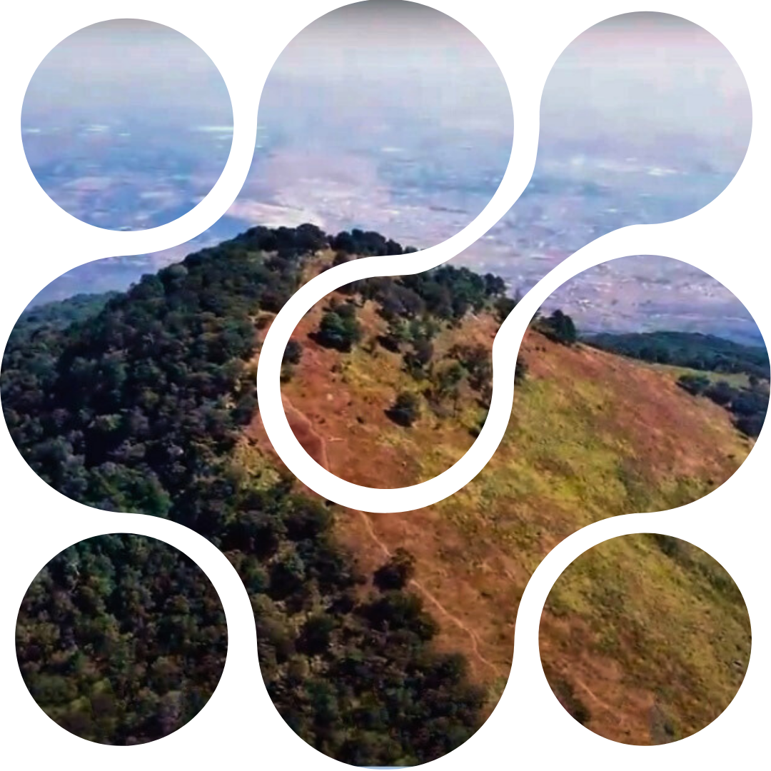 Cerro del Quinceo