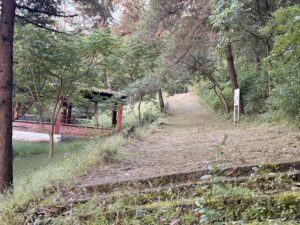 1 Octubre 2025 - Campaña Adopta un arbol - Ayuntamiento Secretaria de Ecologia (6)