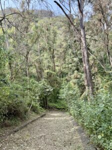 3 Octubre 2025 - Francisco Zarco (2)
